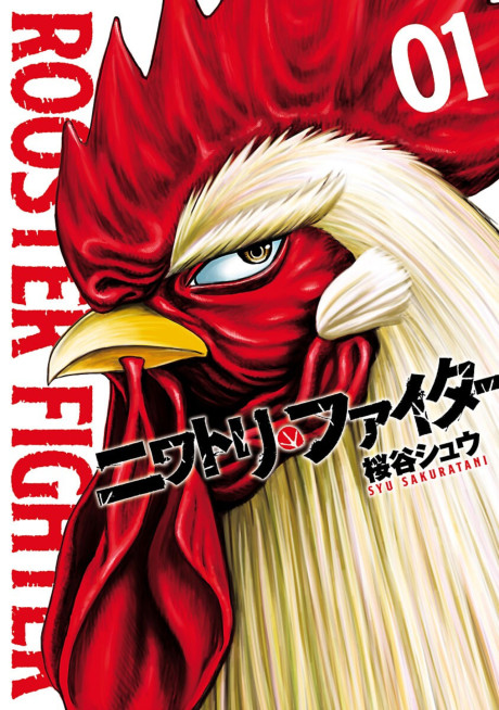 Rooster Fighter Cover Image